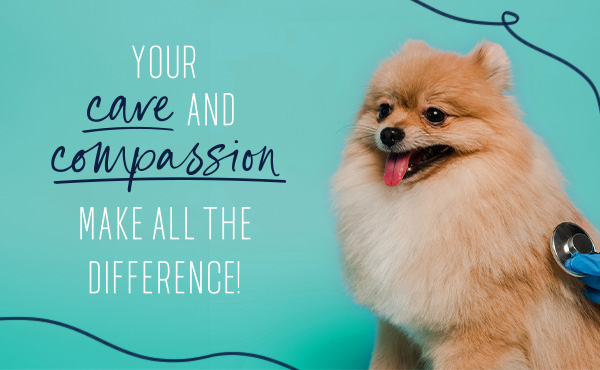Veterinary eCard Thank You Campaign
