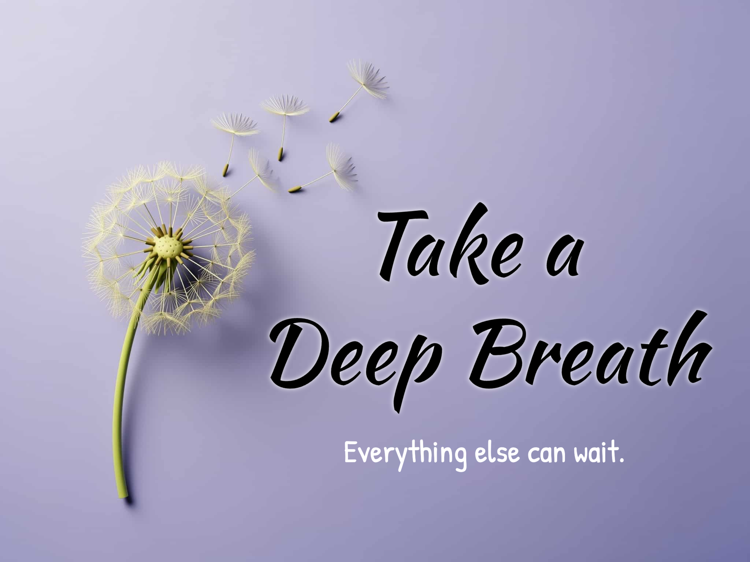Dandelion eCard template preview